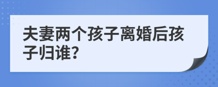 夫妻兩個孩子離婚后孩子歸誰？