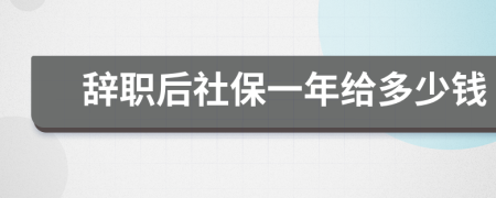 辭職后社保一年給多少錢(qián)