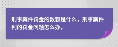 刑事案件罰金的數(shù)額是什么，刑事案件判的罰金問題怎么辦，