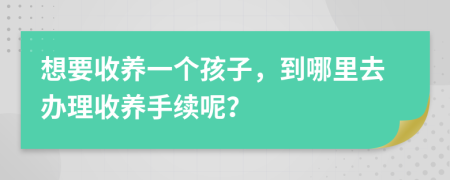 想要收養(yǎng)一個(gè)孩子，到哪里去辦理收養(yǎng)手續(xù)呢？