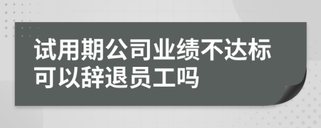 試用期公司業(yè)績不達(dá)標(biāo)可以辭退員工嗎