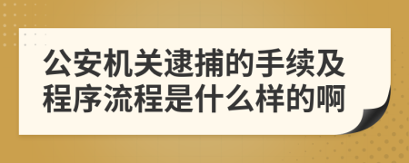 公安機(jī)關(guān)逮捕的手續(xù)及程序流程是什么樣的啊