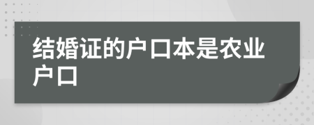 結(jié)婚證的戶口本是農(nóng)業(yè)戶口