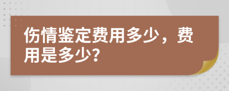 傷情鑒定費(fèi)用多少，費(fèi)用是多少？