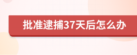 批準(zhǔn)逮捕37天后怎么辦