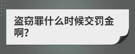 盜竊罪什么時(shí)候交罰金??？