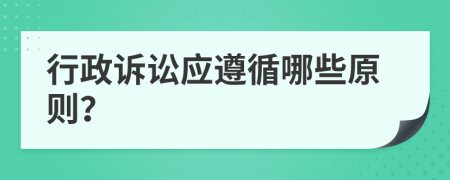 行政訴訟應(yīng)遵循哪些原則？
