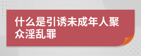 什么是引誘未成年人聚眾淫亂罪