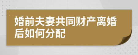 婚前夫妻共同財產(chǎn)離婚后如何分配