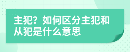 主犯？如何區(qū)分主犯和從犯是什么意思