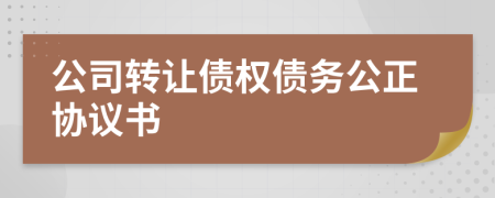 公司轉(zhuǎn)讓債權(quán)債務(wù)公正協(xié)議書