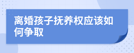 離婚孩子撫養(yǎng)權(quán)應(yīng)該如何爭(zhēng)取