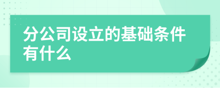 分公司設(shè)立的基礎(chǔ)條件有什么