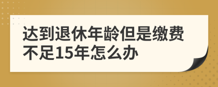 達(dá)到退休年齡但是繳費(fèi)不足15年怎么辦
