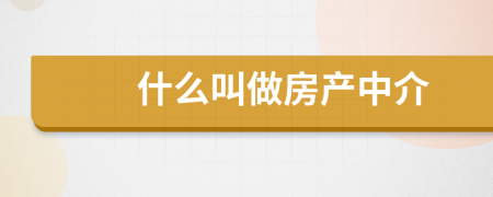 什么叫做房產(chǎn)中介