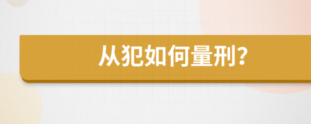 從犯如何量刑？