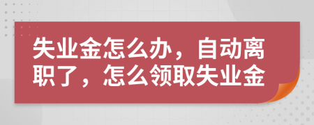 失業(yè)金怎么辦，自動離職了，怎么領取失業(yè)金