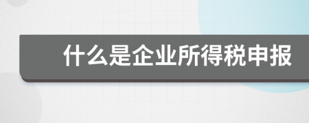 什么是企業(yè)所得稅申報
