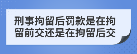 刑事拘留后罰款是在拘留前交還是在拘留后交