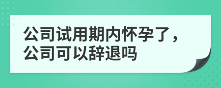 公司試用期內(nèi)懷孕了，公司可以辭退嗎