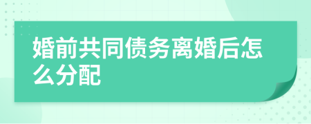 婚前共同債務(wù)離婚后怎么分配