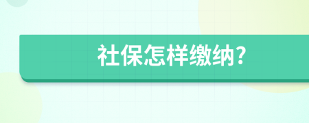 社保怎樣繳納?
