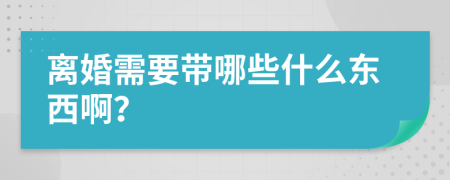 離婚需要帶哪些什么東西啊？