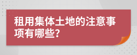 租用集體土地的注意事項有哪些？