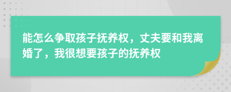 能怎么爭取孩子撫養(yǎng)權(quán)，丈夫要和我離婚了，我很想要孩子的撫養(yǎng)權(quán)