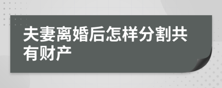 夫妻離婚后怎樣分割共有財(cái)產(chǎn)