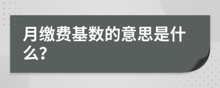 月繳費(fèi)基數(shù)的意思是什么？