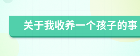 關于我收養(yǎng)一個孩子的事