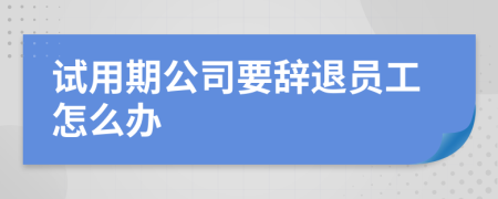 試用期公司要辭退員工怎么辦