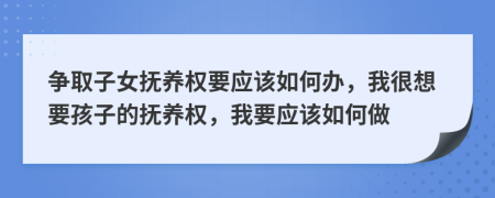 爭取子女撫養(yǎng)權(quán)要應(yīng)該如何辦，我很想要孩子的撫養(yǎng)權(quán)，我要應(yīng)該如何做