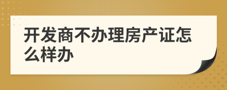 開(kāi)發(fā)商不辦理房產(chǎn)證怎么樣辦