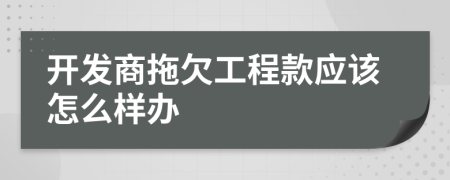 開發(fā)商拖欠工程款應該怎么樣辦