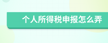 個人所得稅申報怎么弄