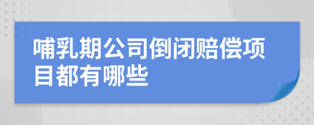 哺乳期公司倒閉賠償項目都有哪些
