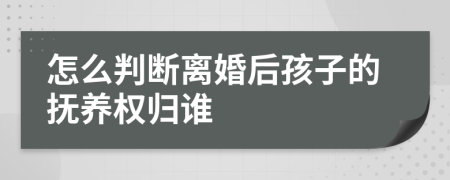 怎么判斷離婚后孩子的撫養(yǎng)權歸誰
