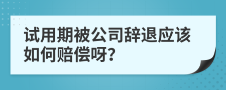 試用期被公司辭退應(yīng)該如何賠償呀？