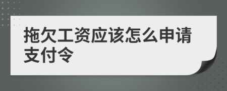 拖欠工資應(yīng)該怎么申請(qǐng)支付令