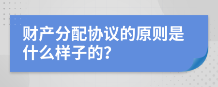 財產(chǎn)分配協(xié)議的原則是什么樣子的?