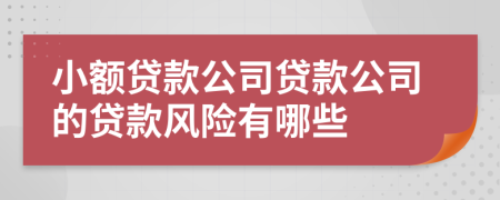 小額貸款公司貸款公司的貸款風險有哪些