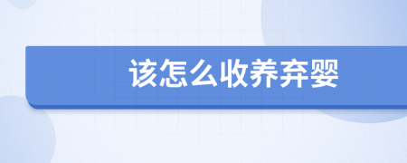該怎么收養(yǎng)棄嬰