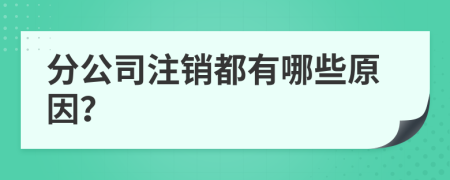 分公司注銷都有哪些原因？