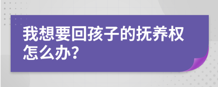 我想要回孩子的撫養(yǎng)權怎么辦？