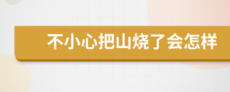 不小心把山燒了會(huì)怎樣