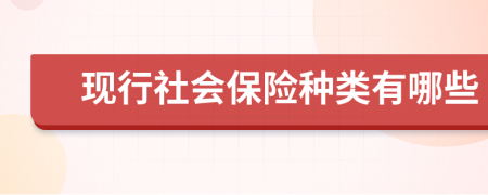現(xiàn)行社會(huì)保險(xiǎn)種類有哪些