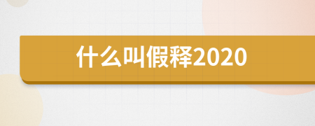 什么叫假釋2020