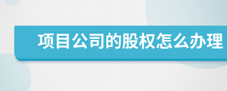 項目公司的股權怎么辦理